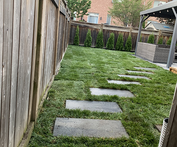 backyard covered with grass and stone