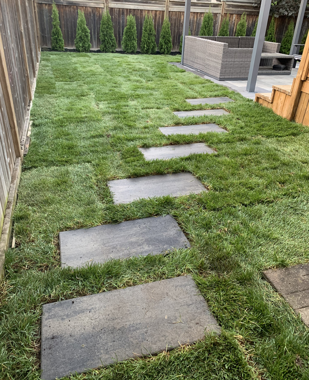 sodding with stone on backyard