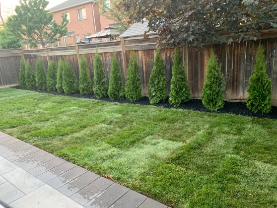 Vaughan landscaping company