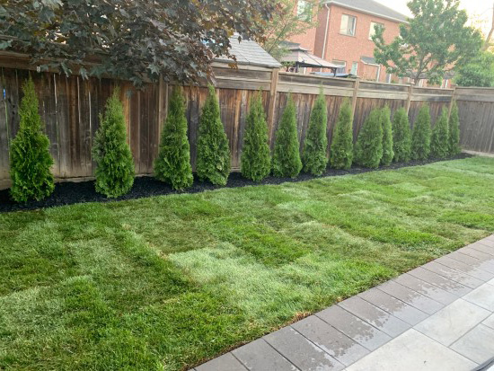 landscaping company
