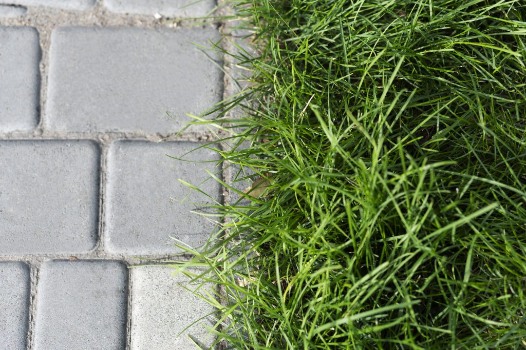 Interlocking Frontyard Clarington
