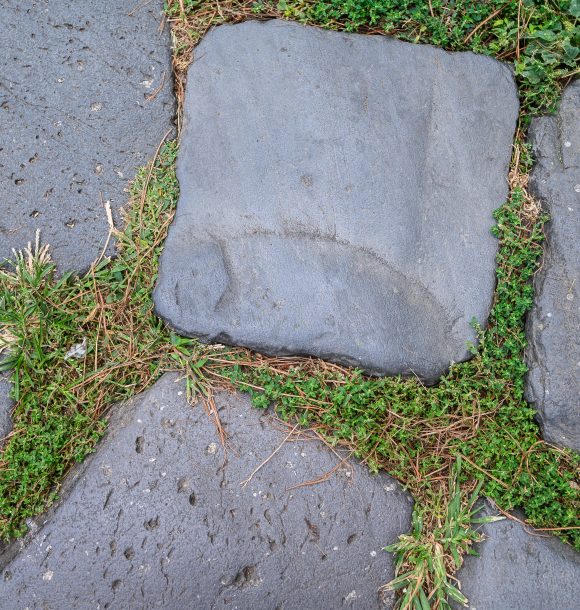 The best interlocking services in East Gwillimbury by Eco Pro Home team