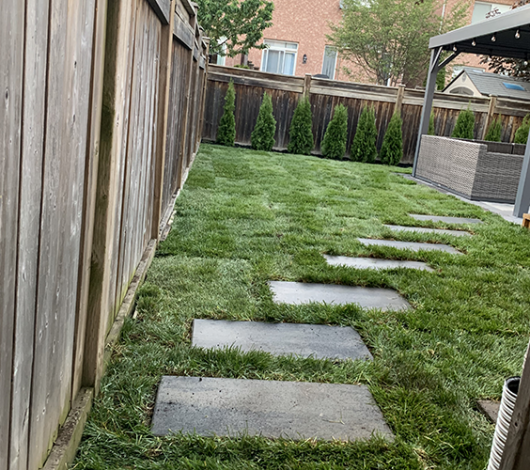 backyard covered with grass and stone